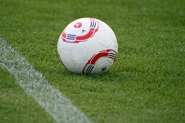 快地适应国 快地适应国