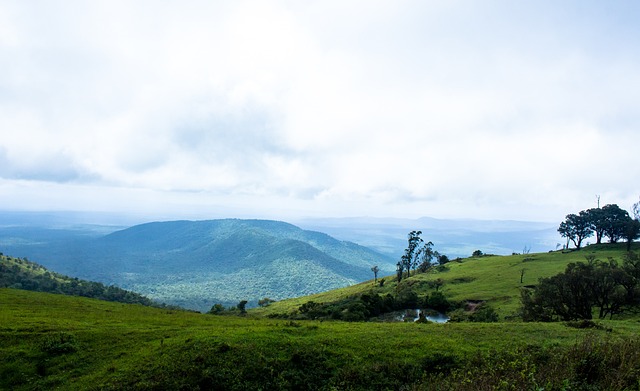 正是他今天 正是他今天