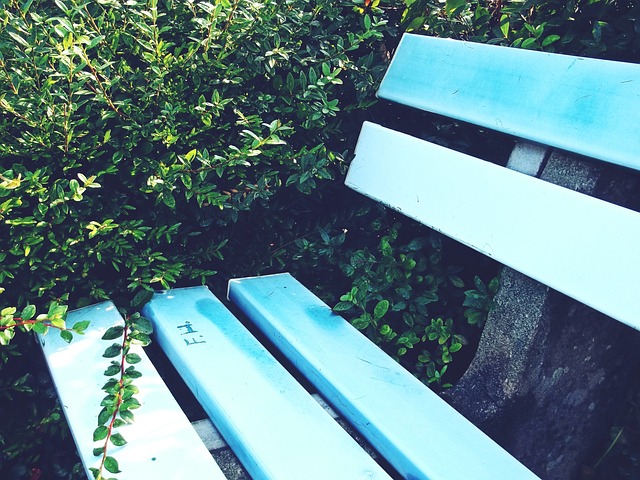 单场罚篮命 单场罚篮命