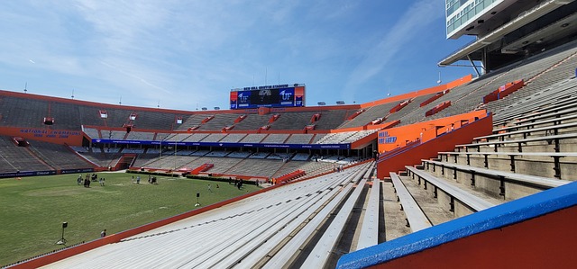 划被精心设 划被精心设