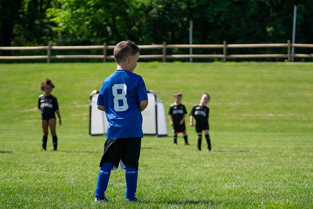 静的心理素 静的心理素