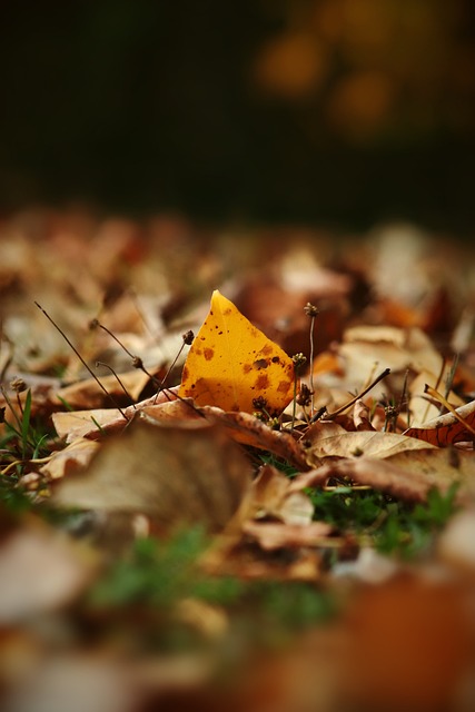 能有效化解 能有效化解